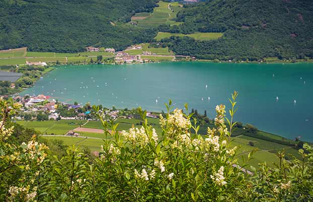 Der Kalterer See