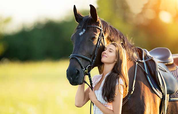 Ein Pferd und eine Frau im Abendlicht