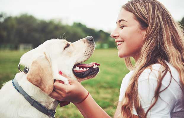 Ein glücklicher Hund mit einer Frau