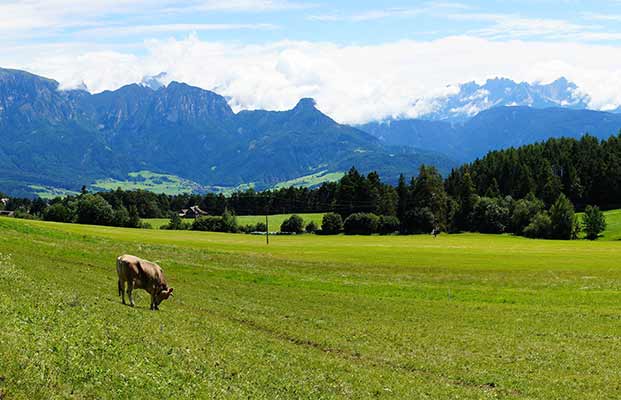 Blick auf die Ferienregion Ritten