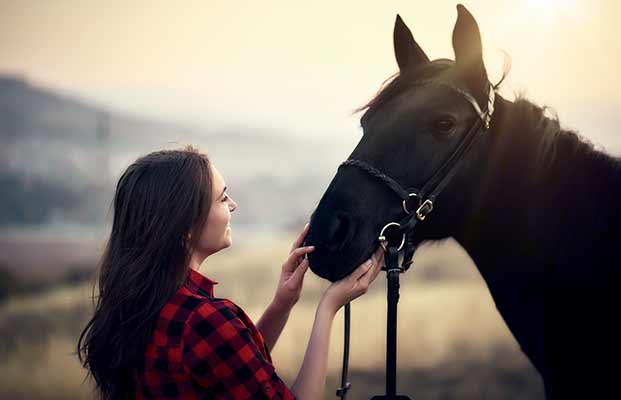 Pferd mit einer Frau