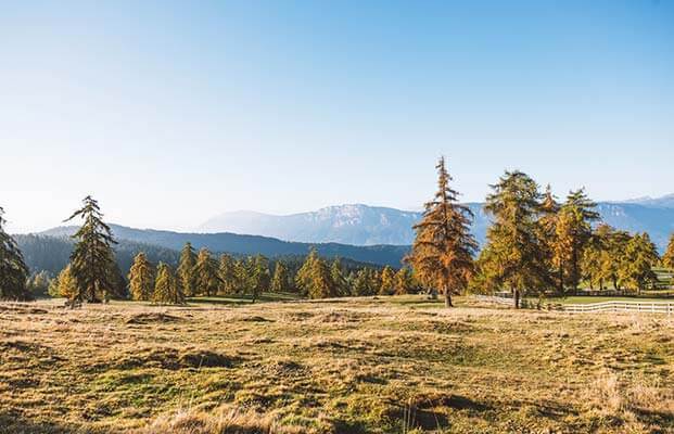Tschögglberg im Herbst