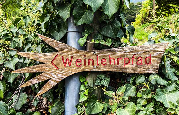 Weinlehrpfad in Kurtatsch