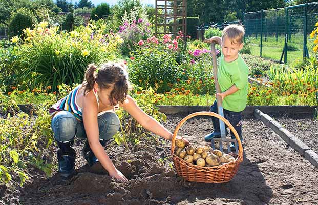 Mutter und Sohn im Gemüsegarten