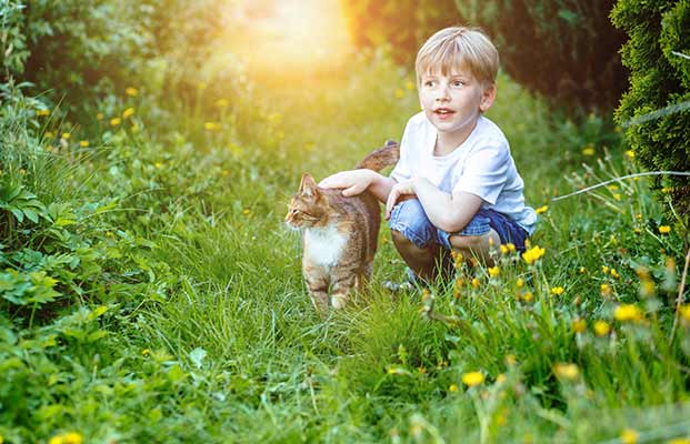 Ein Junge streichelt eine Katze