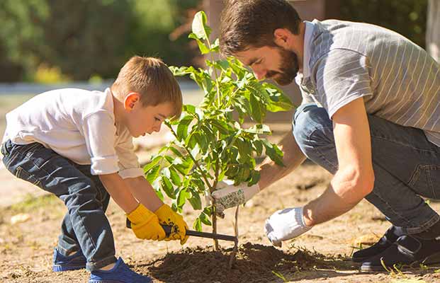 Sohn und Vater arbeiten gemeinsam im Garten