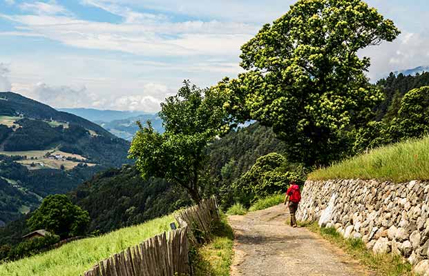 Spaziergang auf dem Kastanienweg