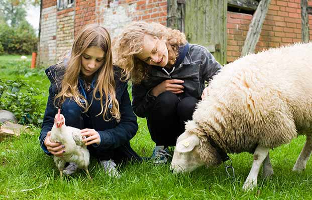 Zwei Mädchen genießen ihren Bauernhofurlaub