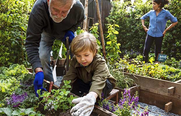 Familie betreibt Gartenarbeit