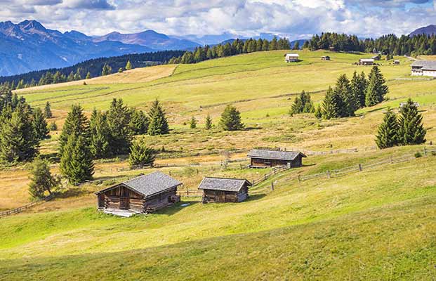 Die Rodenecker Alm