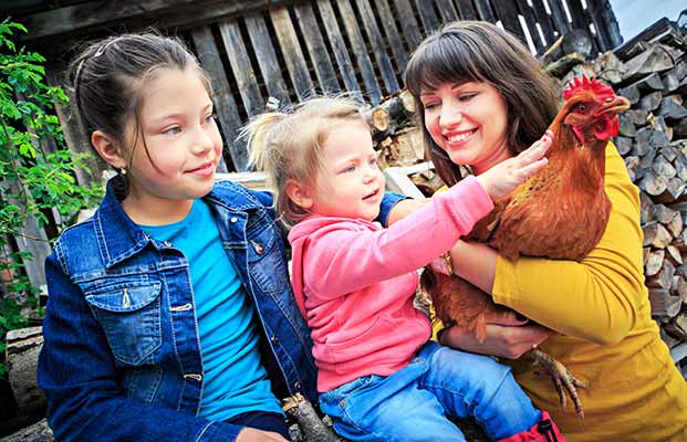 Familie erkundet die Bauernhoftiere