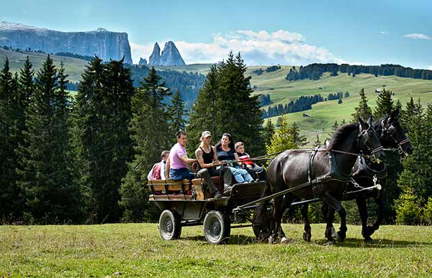 Kutschenerlebnis mit der ganzen Familie