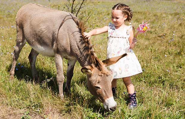 Ein Mädchen streichelt einen Esel