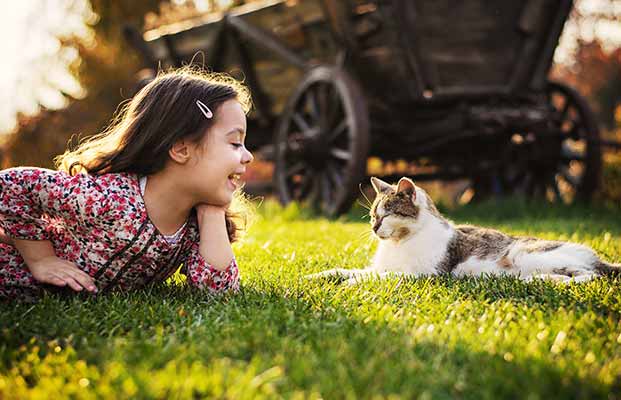 Mädchen und Katze spielen in der Abendsonne