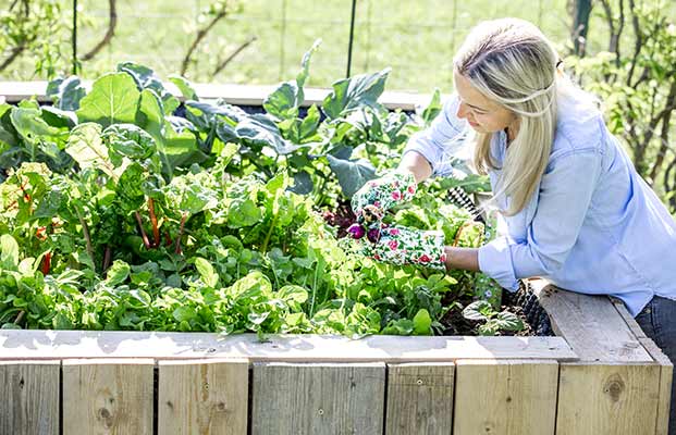 Frau arbeitet im Garten