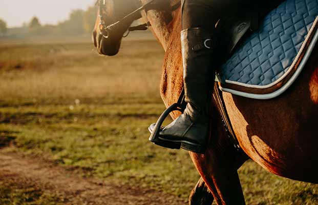 Reiten auf einem Pferd