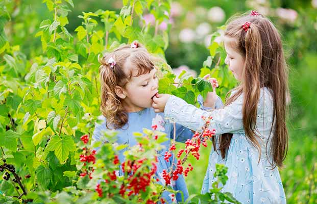 Kinder essen Obst im Garten