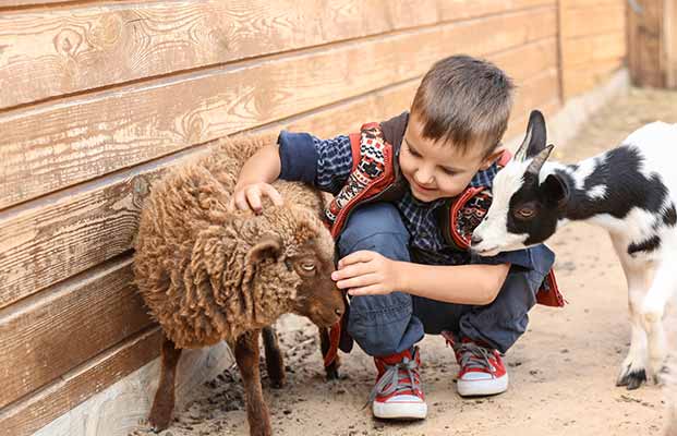 Kleiner Junge mit den Bauernhoftiere