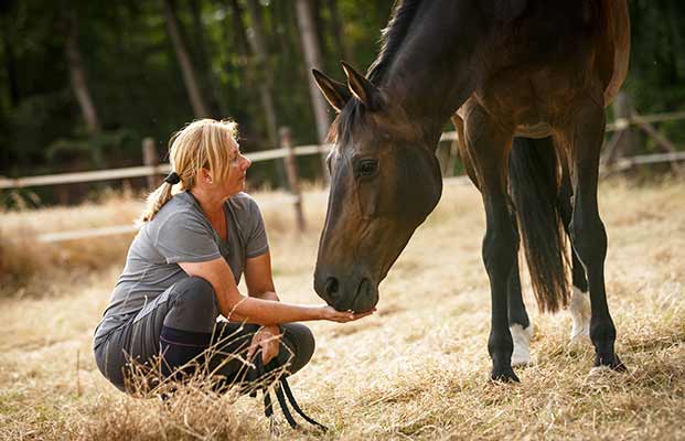 Frau gibt Pferd zu fressen