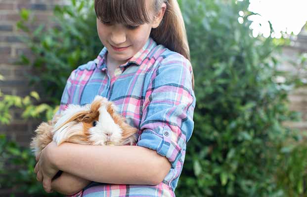 Mädchen haltet ein Meerschweinchen im Arm