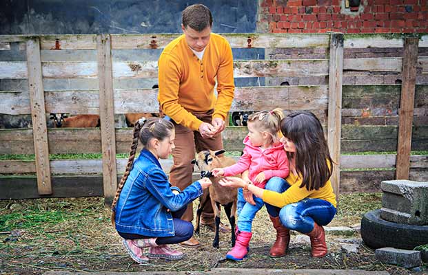 Familie erkundet die Bauernhoftiere