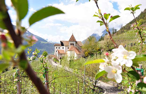 Ferienregion Dorf Tirol