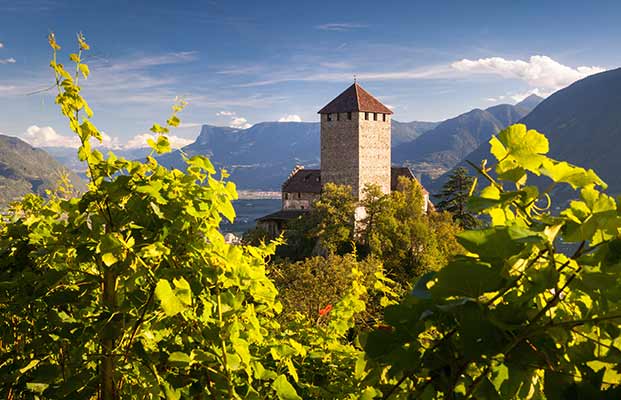 Blick auf Schloss Tirol