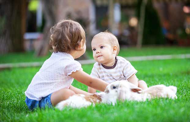 Kleine Kinder streicheln Hasen