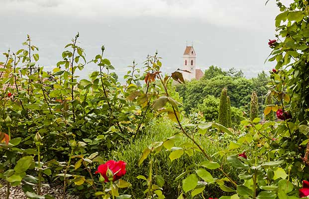 Blick auf Marling