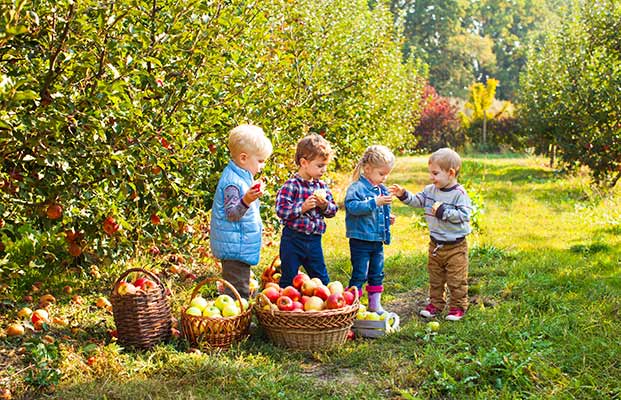 Kinder betrachten die Apfelernte