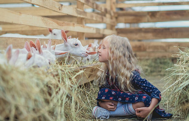 Kind erkundet die Bauernhoftiere