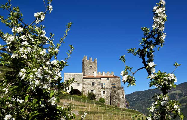 Burg in Hochnaturns