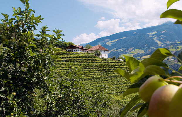 Blick auf Riffian