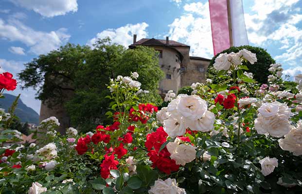 Schloss Schenna