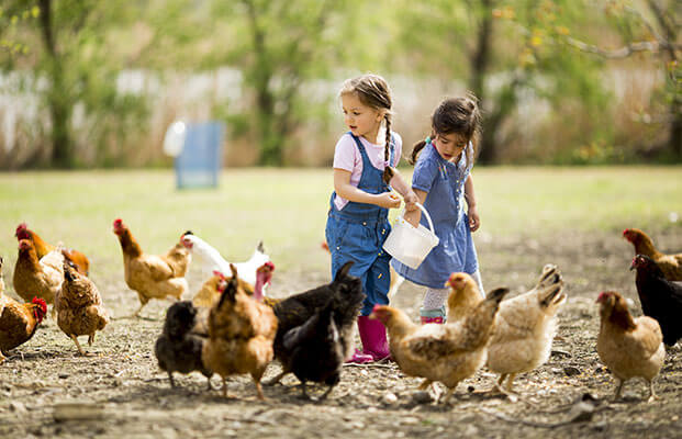 Kinder auf dem Bauernhof