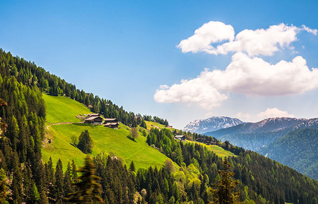 Blick Ultental