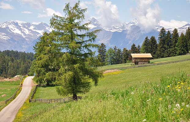 Blick auf Vöran