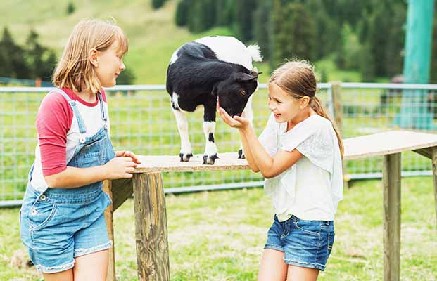 Kinder streicheln Bauernhoftiere