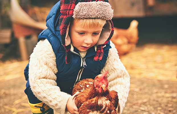 Kind hält ein Huhn in der Hand