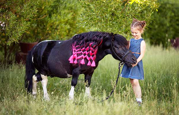 Mädchen streichelt ein Pferd