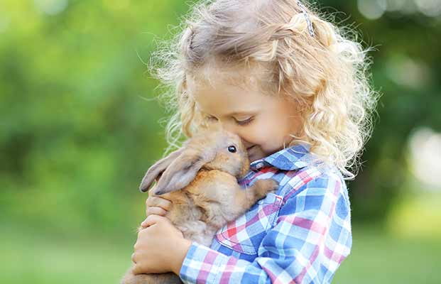 Mädchen hält Hase in den Händen