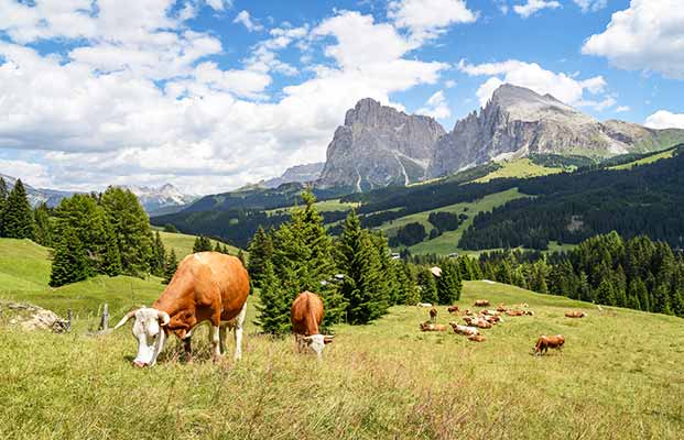 Ausblick auf der Seiser Alm