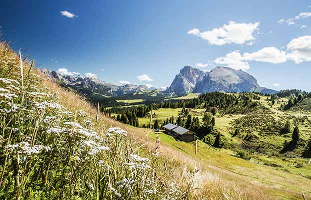 Seiseralm und der Langkofel