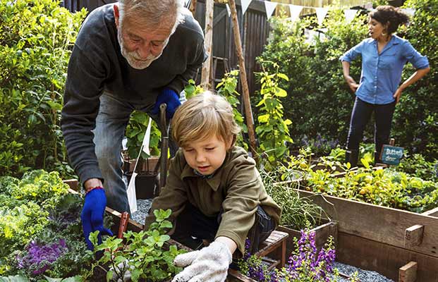 Familie betreibt Gartenarbeit