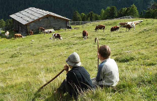 Zwei Kinder beobachten Kühe auf der Alm