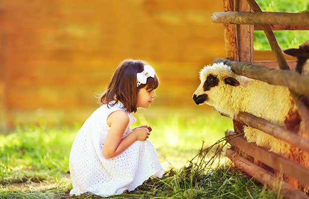 Mädchen betrachtet ein Schaf
