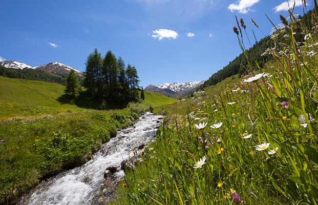 Berge in Graun