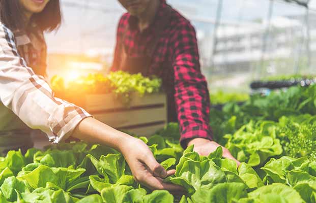 Mann und Frau bei der Gartenarbeit