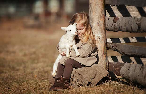 Mädchen umarmt Schaf