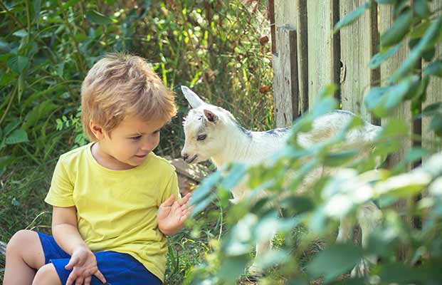 Junge spielt im Garten